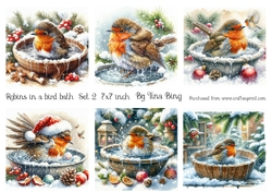 Robins in a bird bath Set 2