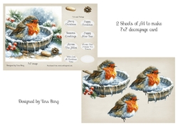 Robin in a bath 2