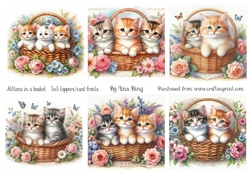 Kittens in a basket
