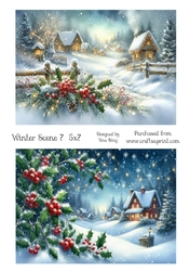 Winter scene 7