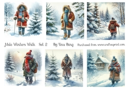 Winter walk 2