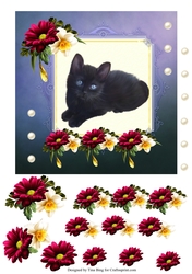 Black Kitten
