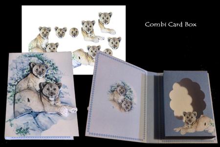 Lion Cubs Combi Card Box