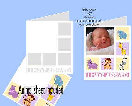 Baby I Have Arrived Card And Image Sheet