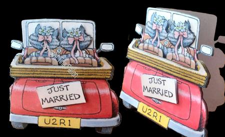 Female Civil Ceremony Wedding Car Shaped Car