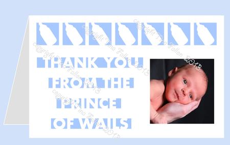 Thank You From The Prince Of Wails Baby Thank You Card