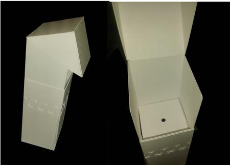 Cake Pop Cakepop Box For 1 Cake