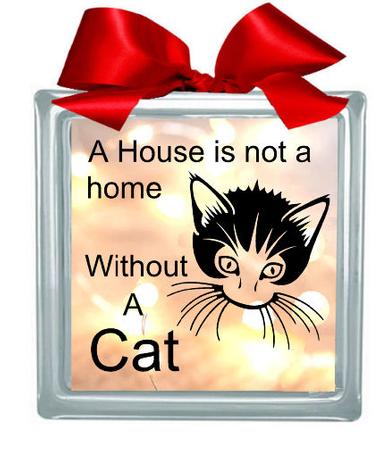 House Is Not A Home Without A Cat