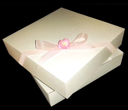 Box 7.5 X 7.5 X 1.6 Inches Can Be Scaled Smaller various formats