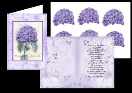 Mum Card No 7 Inc Card Insert And 3D Sheet