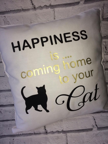 Happiness is coming home to your Cat  