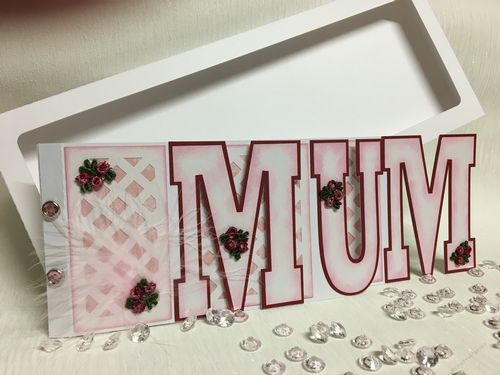 Mum Word Book with box  - Great for Mothers Day