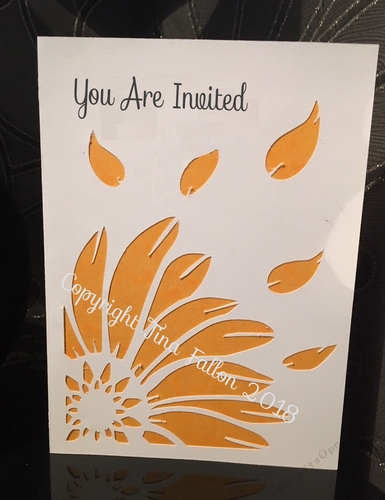 Sunflower Daisy - Pocket Fold invitation with inserts Wedding Anniversary Birthday