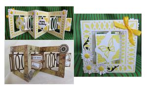 Accordian Card - 100th Birthday 