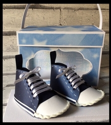 Baby Boys Converse style Shoe / trainer with box various files