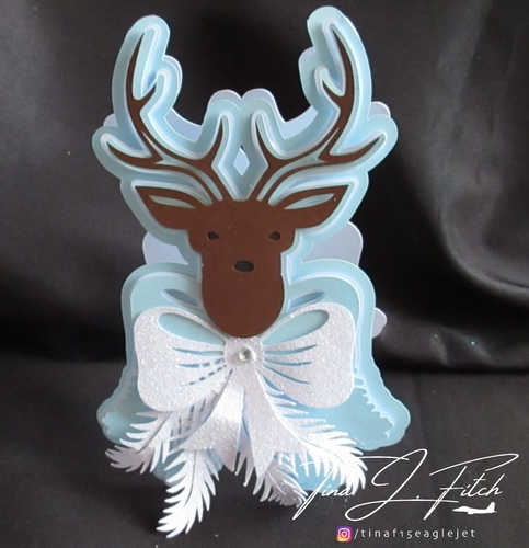 Stag Card TF0157, All formats