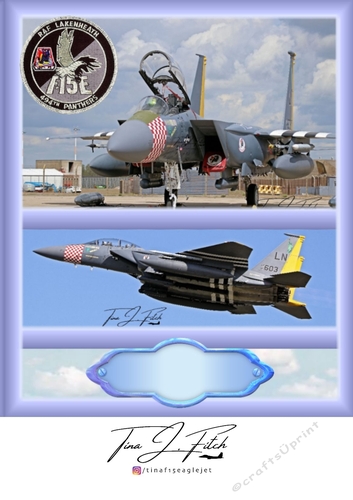 494th Squadron Panthers Card Kit