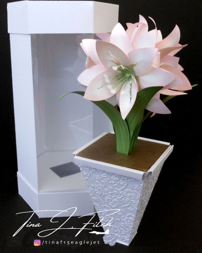 3D Amaryllis & Box