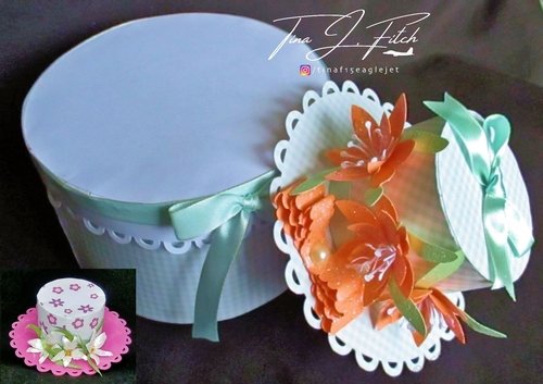 3D Hat & Box, TF0289 .All Formats