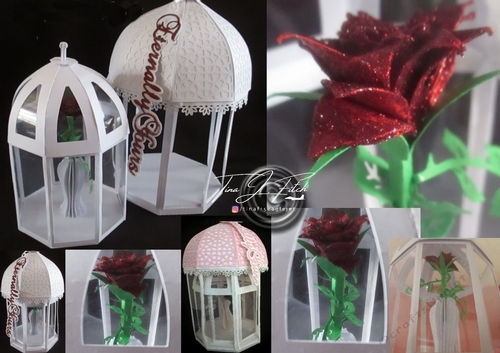 single  Rose Dome & Box TF0092, All formats 