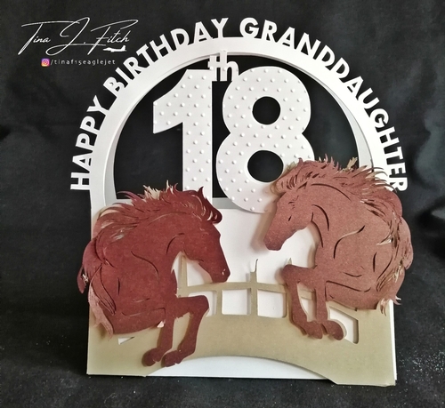 18th Birthday Granddaughter Card TF0347, All Formats
