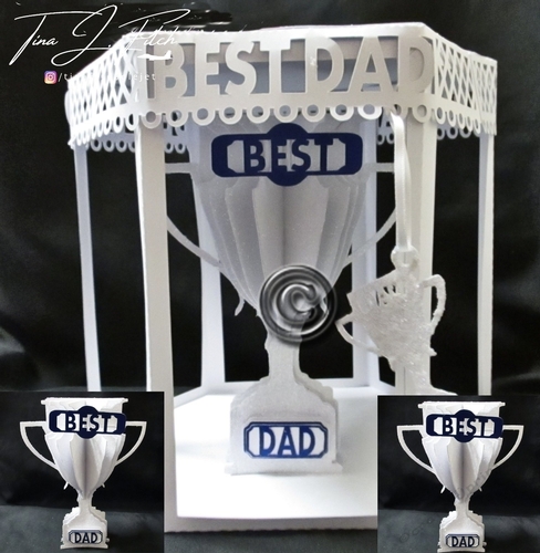Dad Trophy & Box TF0032, All formats