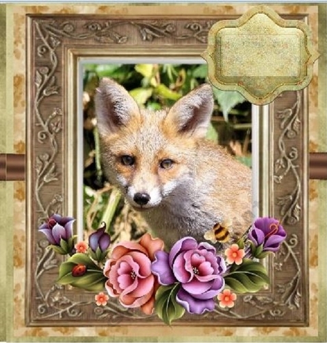 Fox Cub 2 Card 