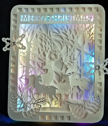 Christmas Woodland Deer Card TF0402, All Formats