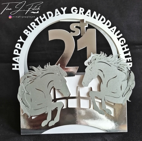 21st Birthday Granddaughter, TF0350, All Formats