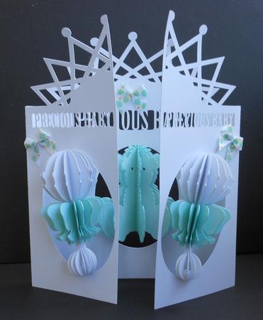 Side by Side Baby Door Card