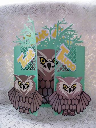 Tree Owl Door Card