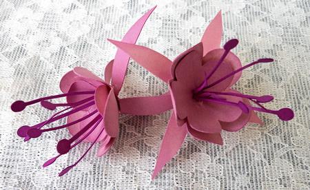 3D Fuschia Flowers