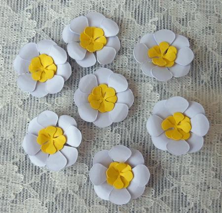 3D Frangipani Flowers