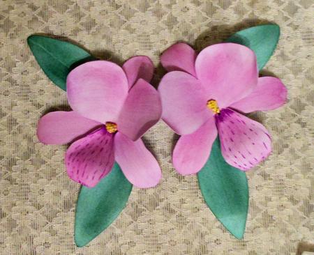 3D Orchid Flowers