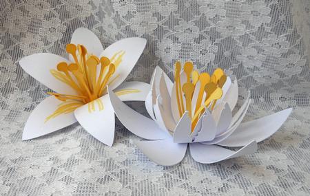 3D Stargazer Lily Flowers