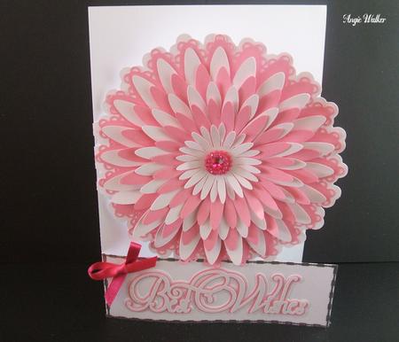 Best Wishes Daisy Front Card