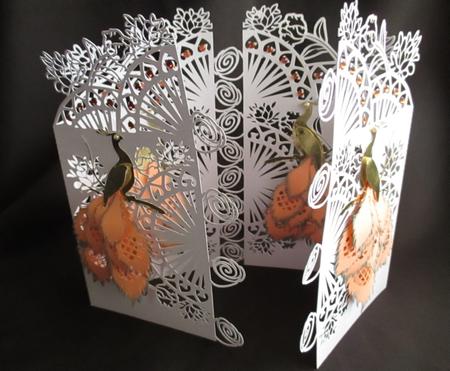 Layered Peacock Door Card & Box