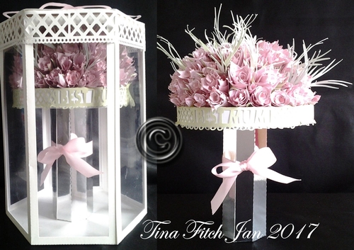 Rose Dome & Box TF0033, All formats