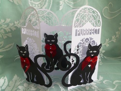 Just Purrfect Cat Door Card, All formats