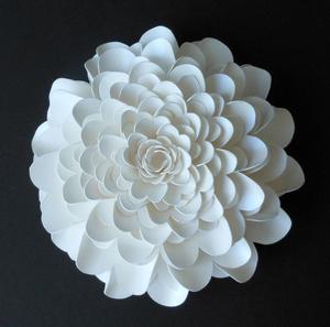 Giant 3D Rose