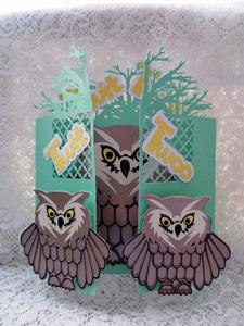 Tree Owl Door Card