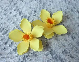3D Daffodil Flowers