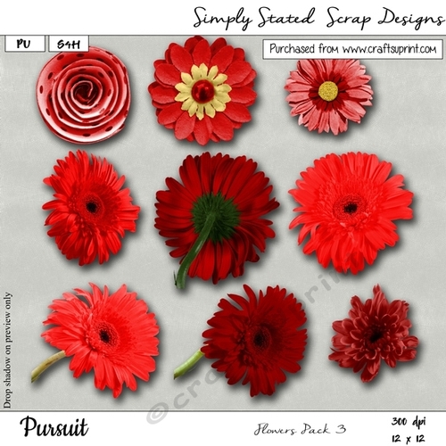JTB4 - Pursuit - Flowers Pack #3
