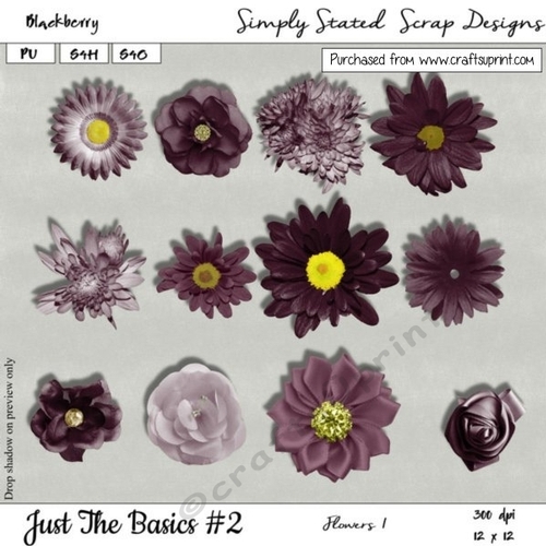 JTB2 - Blackberry - Flowers Pack #1