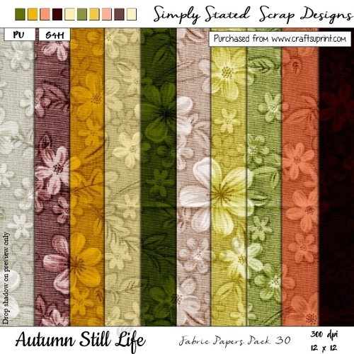 Autumn Still Life - Paper Pack #30