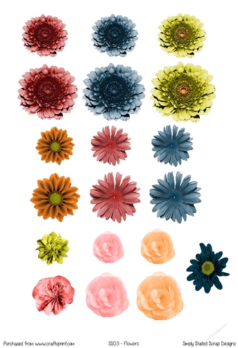 Simply Scrap #3 - Flowers- A4