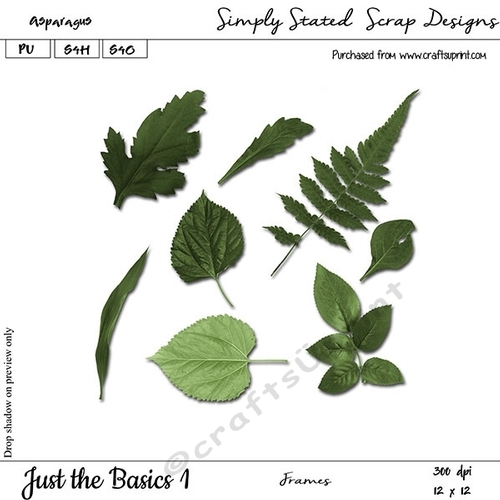 Just the Basics #1 - Asparagus - Leaves Pack #1