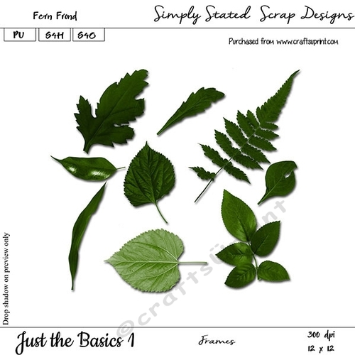 Just the Basics #1 - Fern Frond - Leaves Pack #1