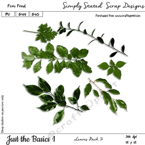 Just the Basics #1 - Fern Frond - Leaves Pack #2