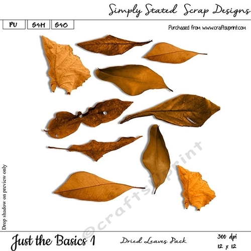 Just the Basics #1 - Dried Leaves